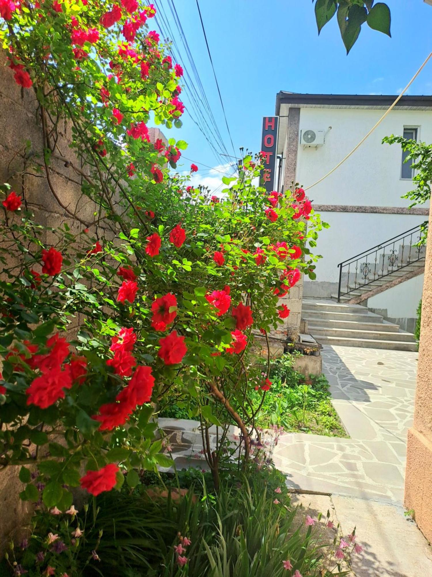 Guest House "Akhaltsikhe" Zewnętrze zdjęcie